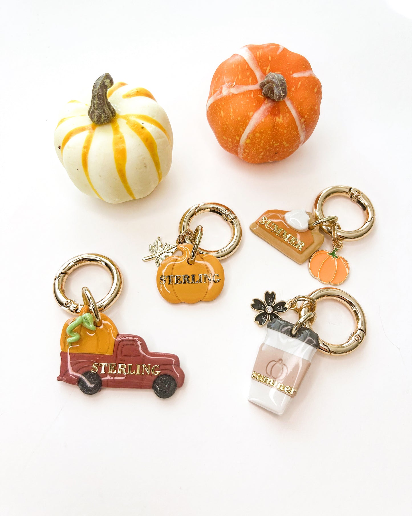 pie | pet id tag