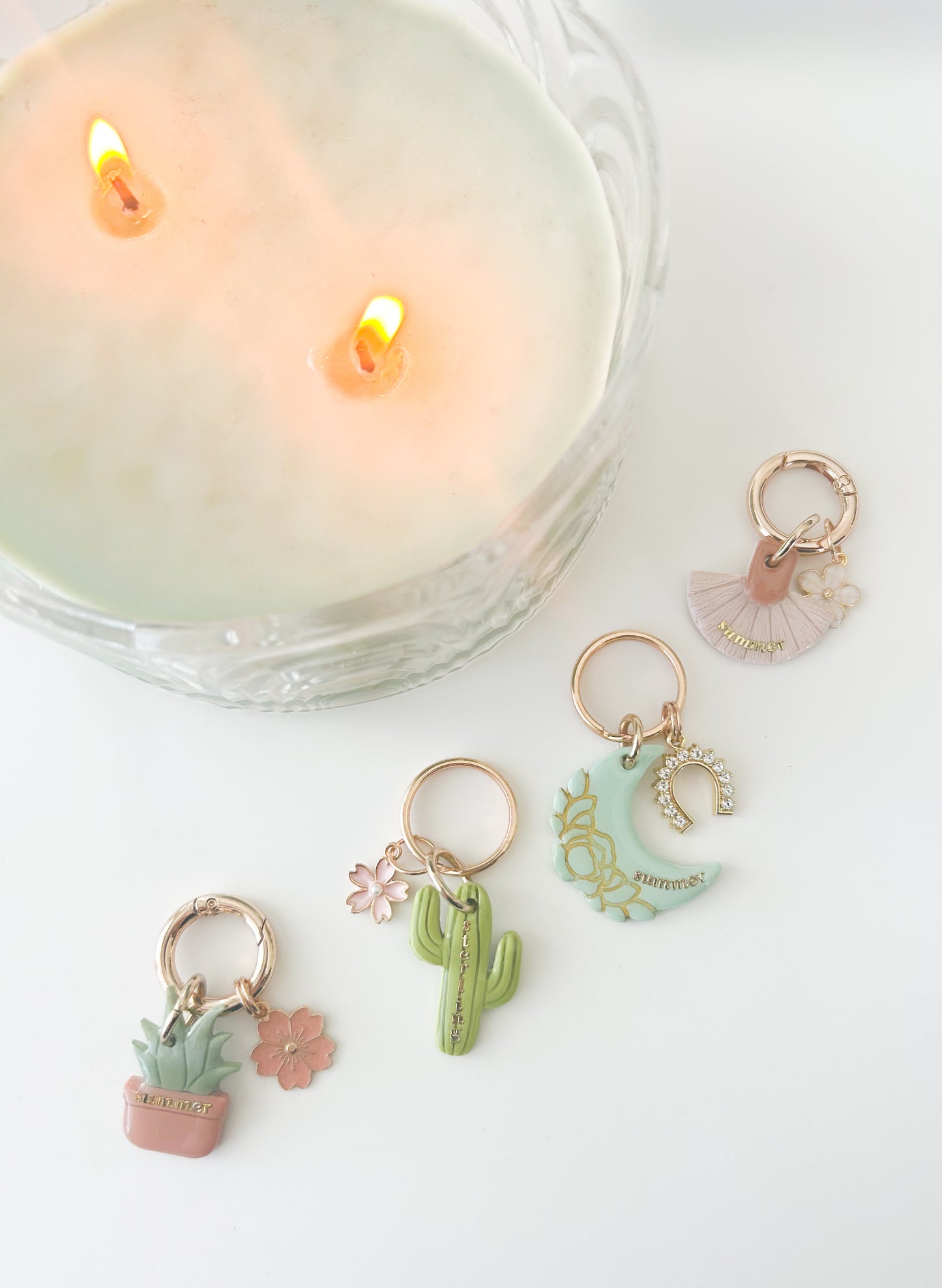 cactus | pet id tag