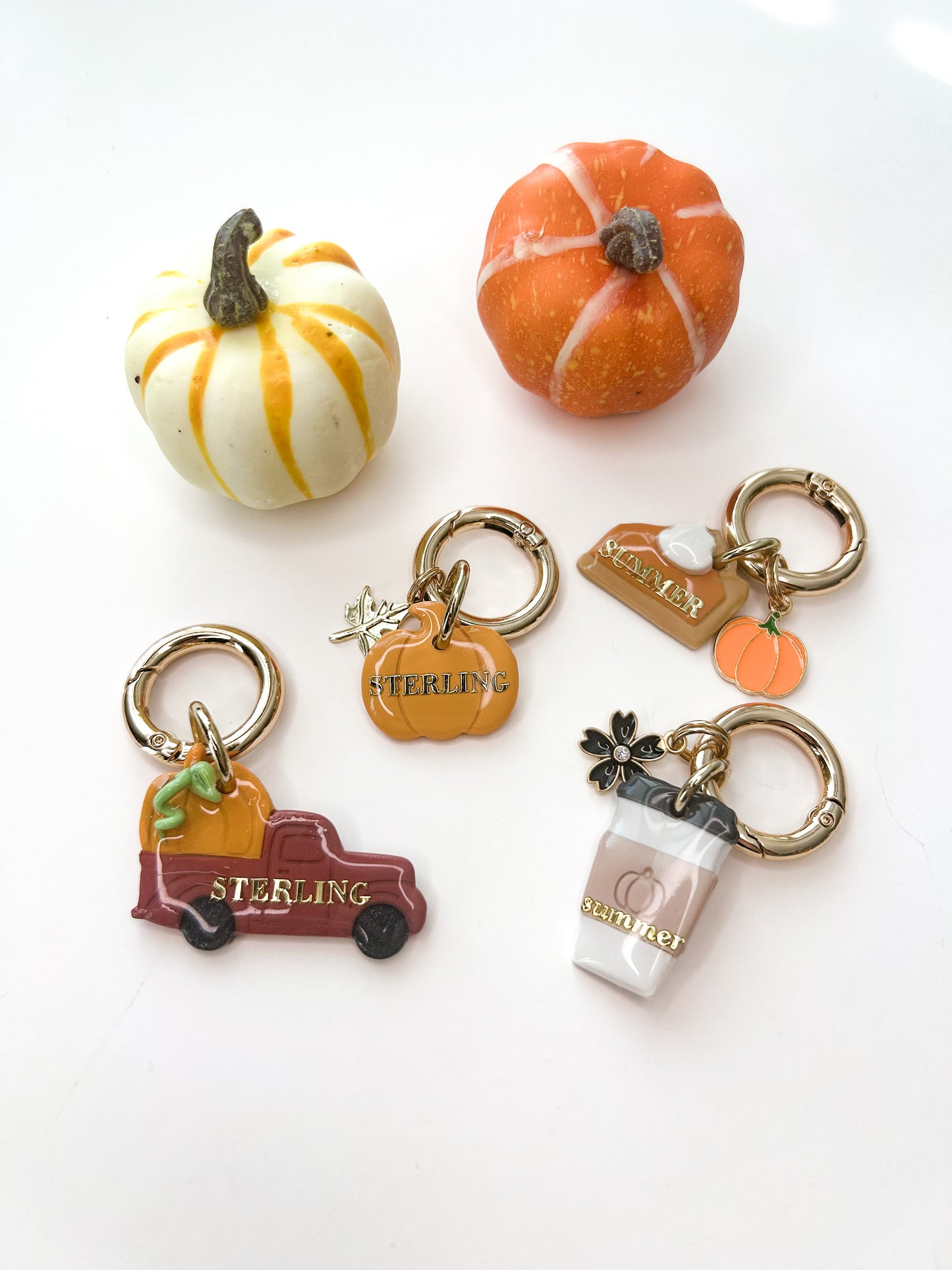 pumpkin | pet id tag