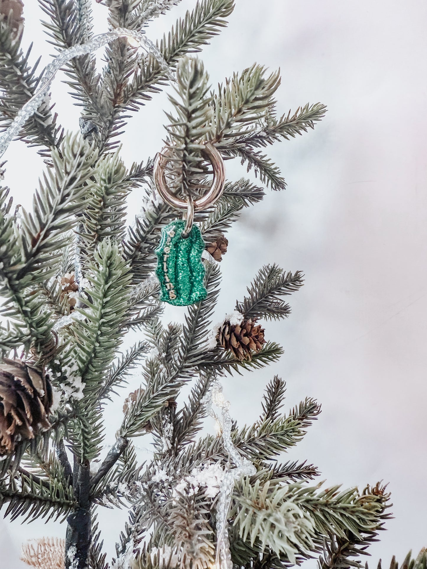 christmas pickle | pet id tag