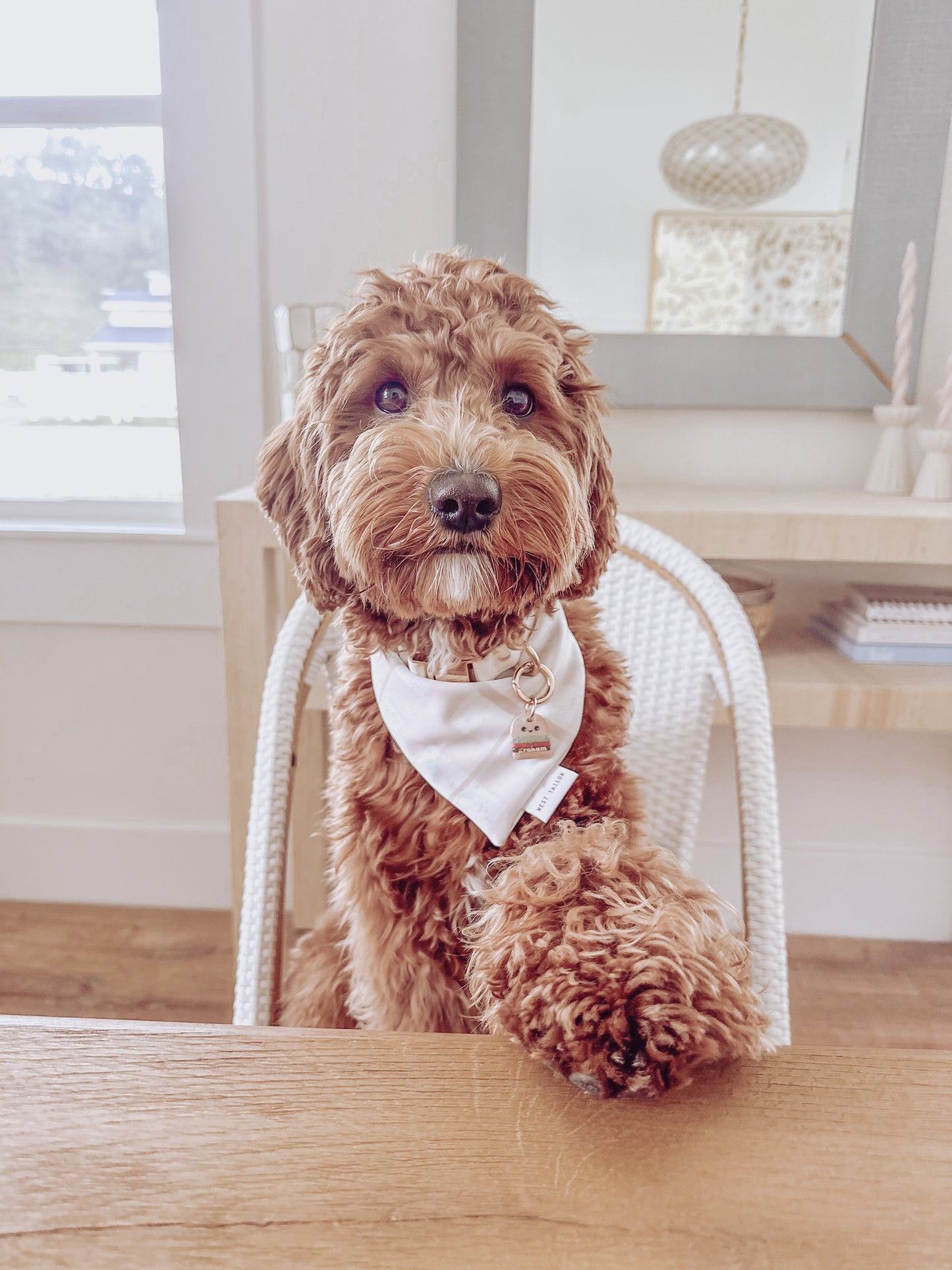 bff burger | pet id tag