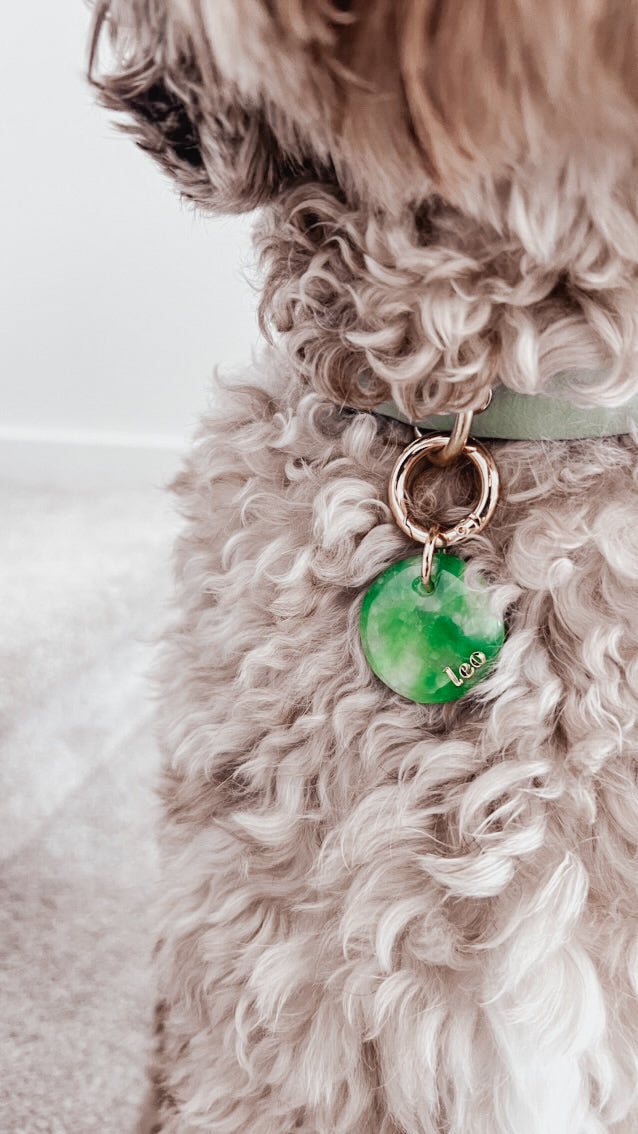 faux quartz | pet id tag