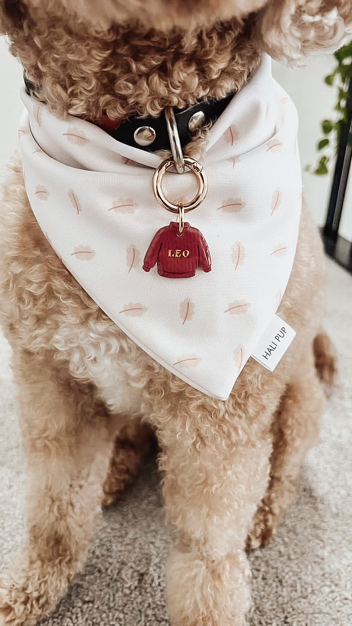 sweater | pet id tag