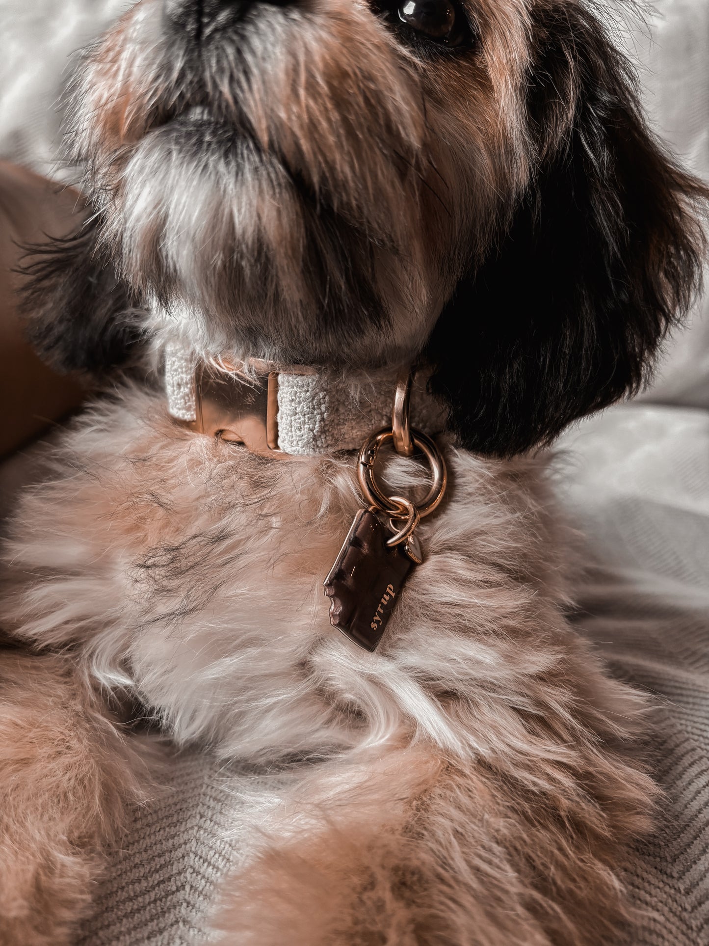 ice cream sandwich | pet id tag