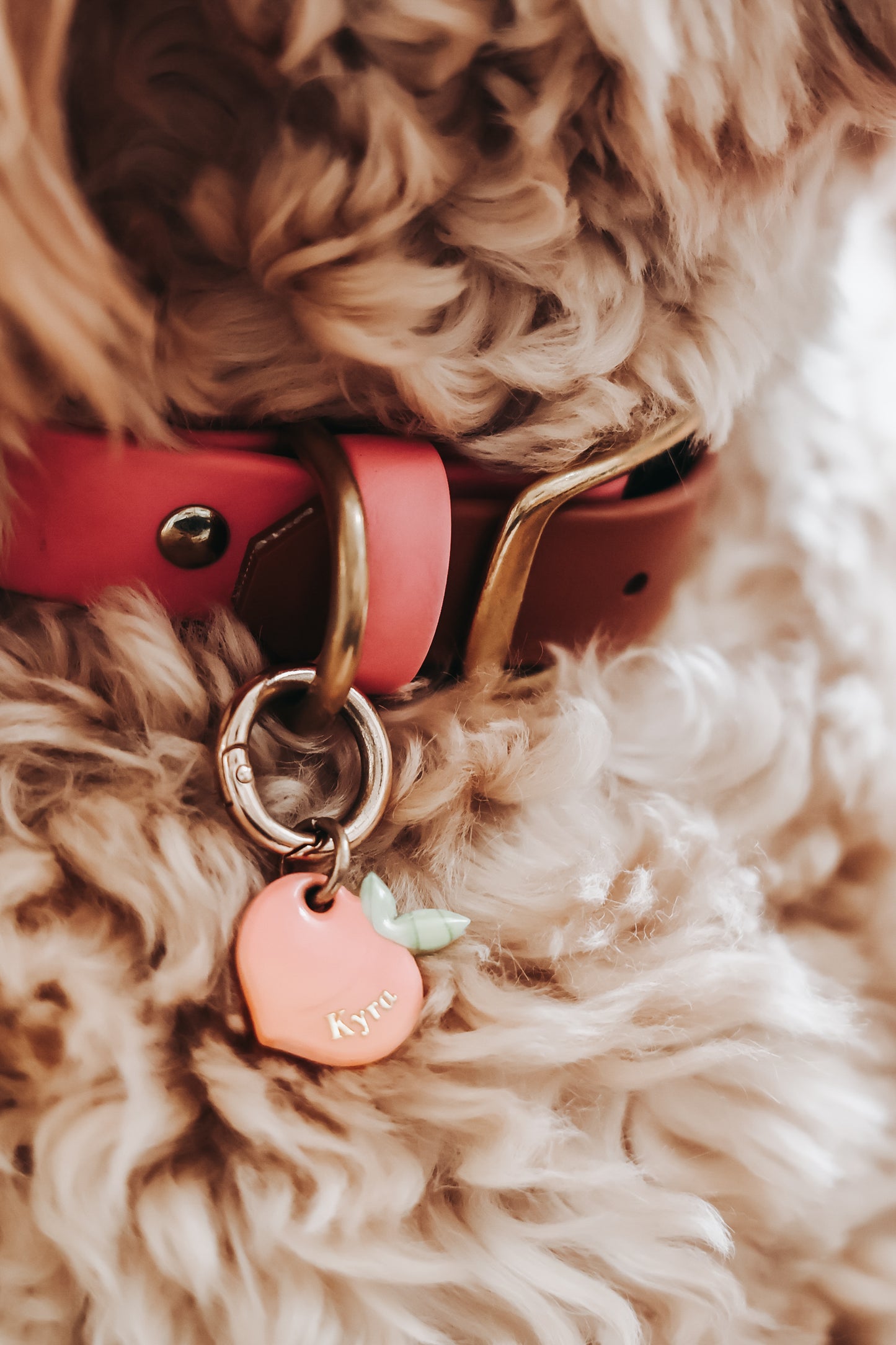 peach | pet id tag