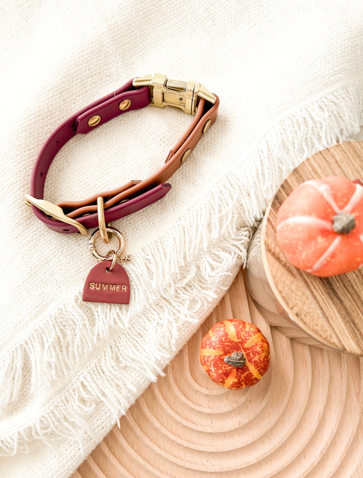 semi-oval | pet id tag