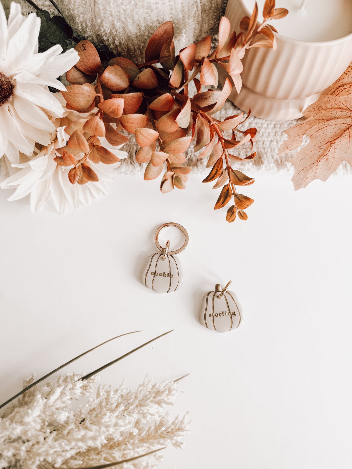 jarrahdale pumpkin | pet id tag