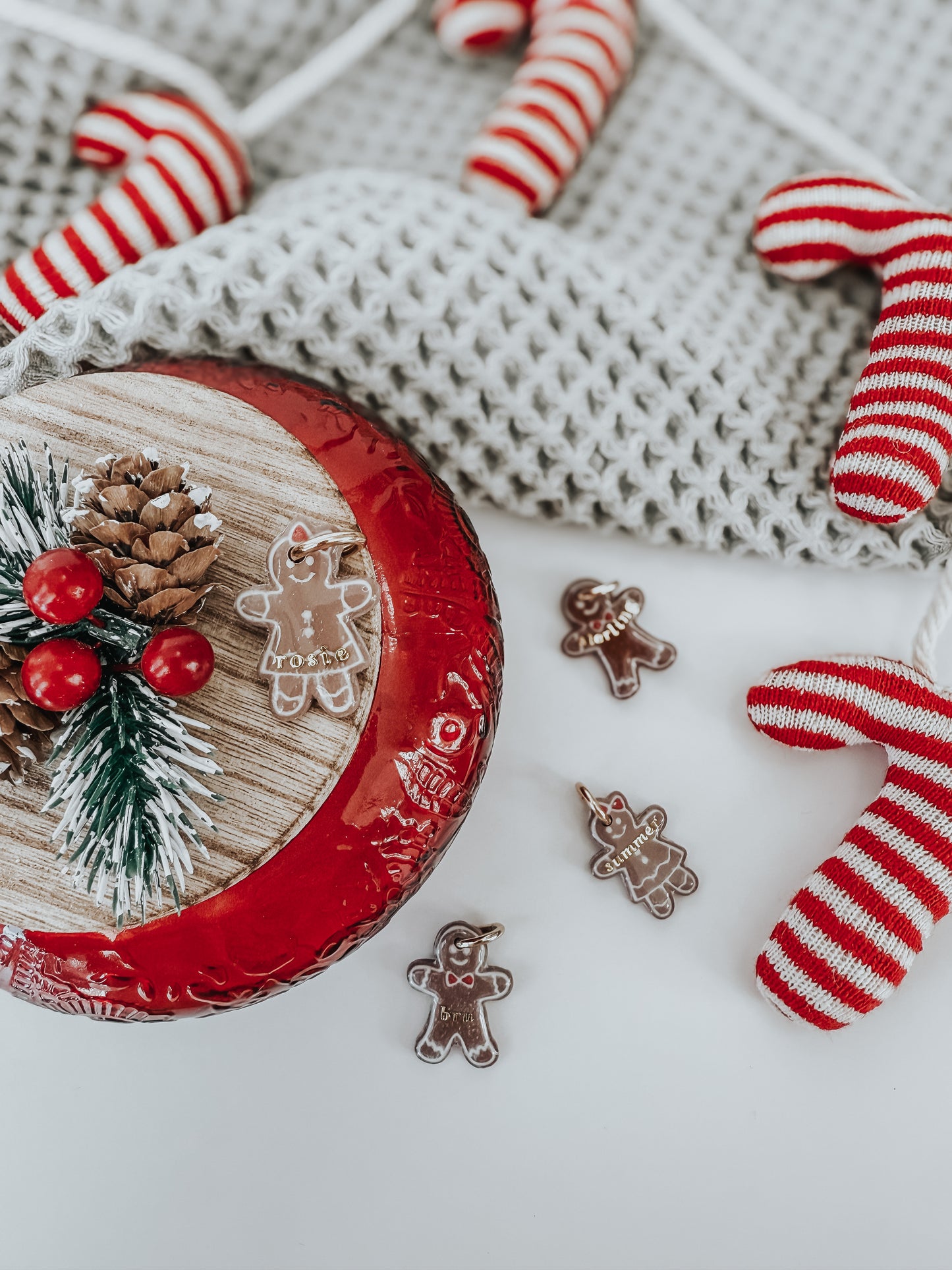 mr gingerbread | pet id tag