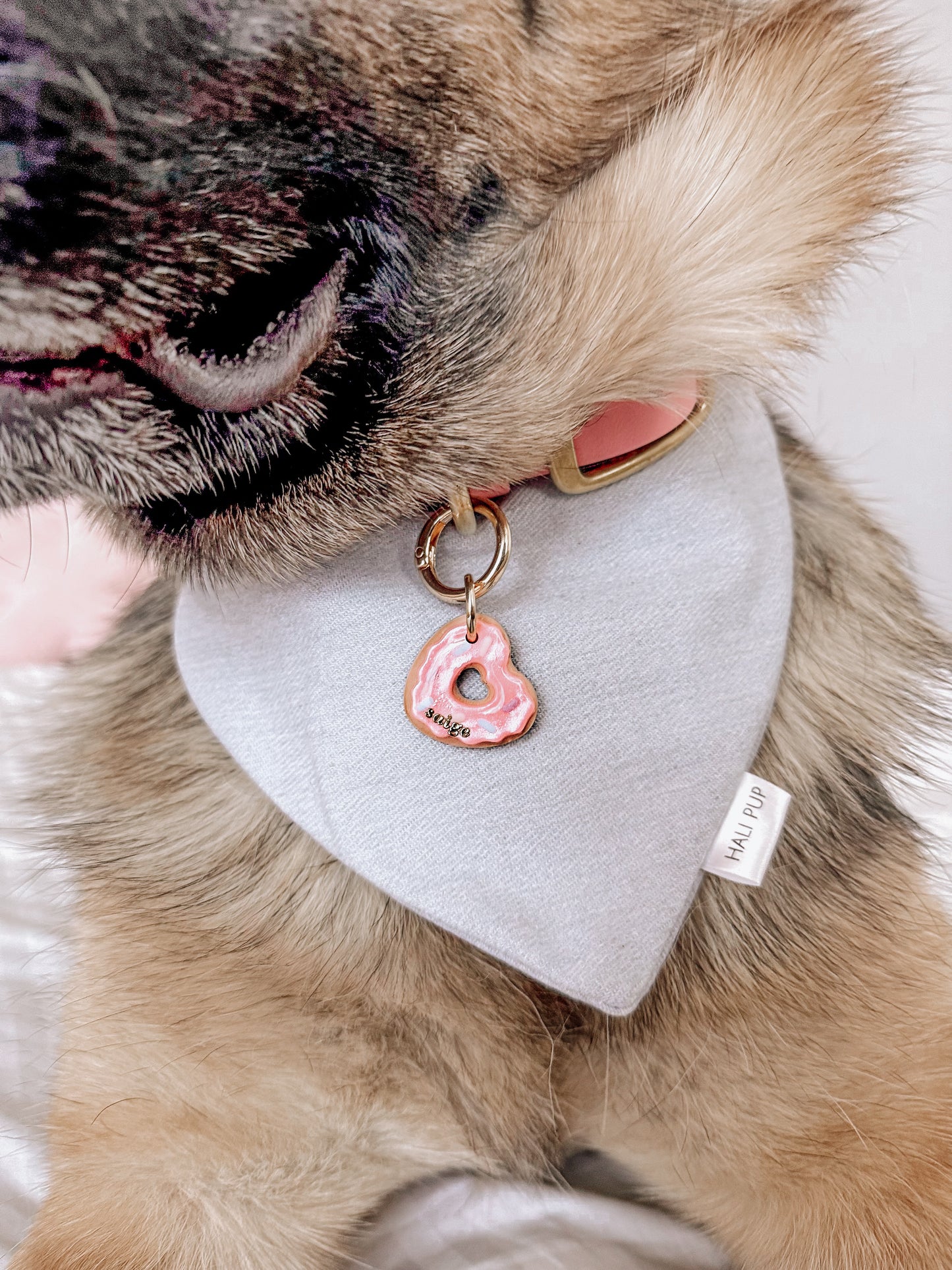 glazed donut | pet id tag