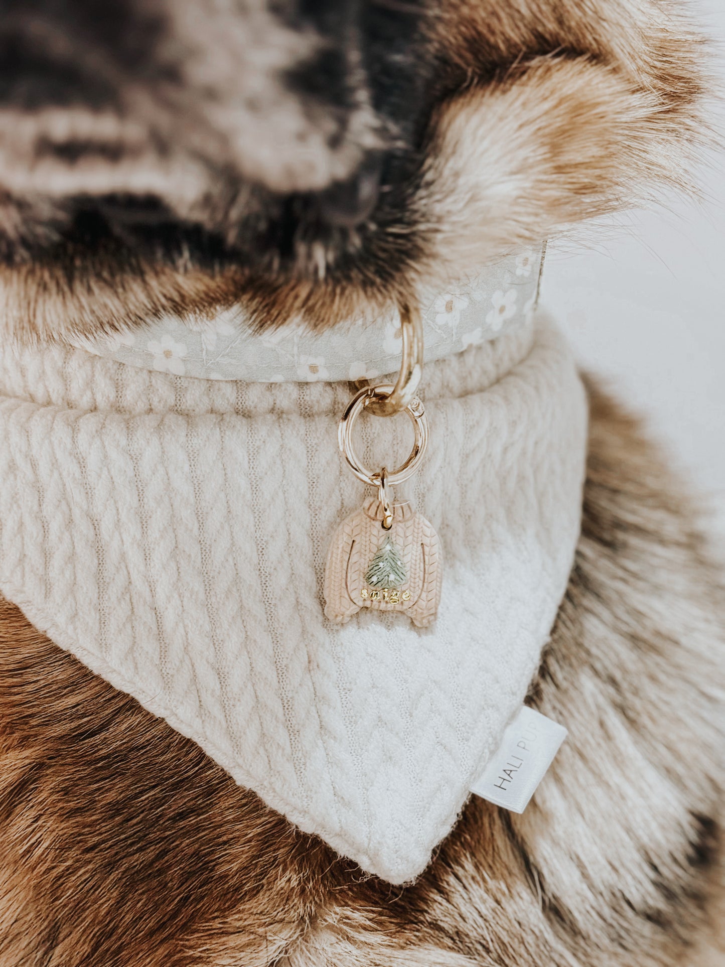 "ugly" xmas sweater | pet id tag