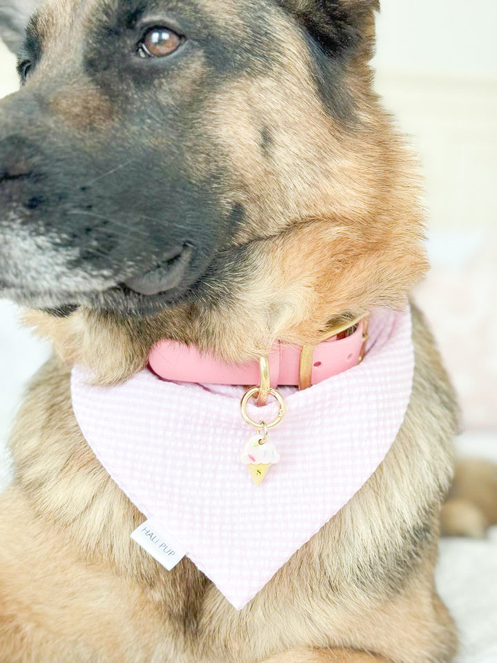 ice cream cone | collar charm