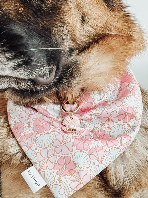 shell w/ pearl | pet id tag