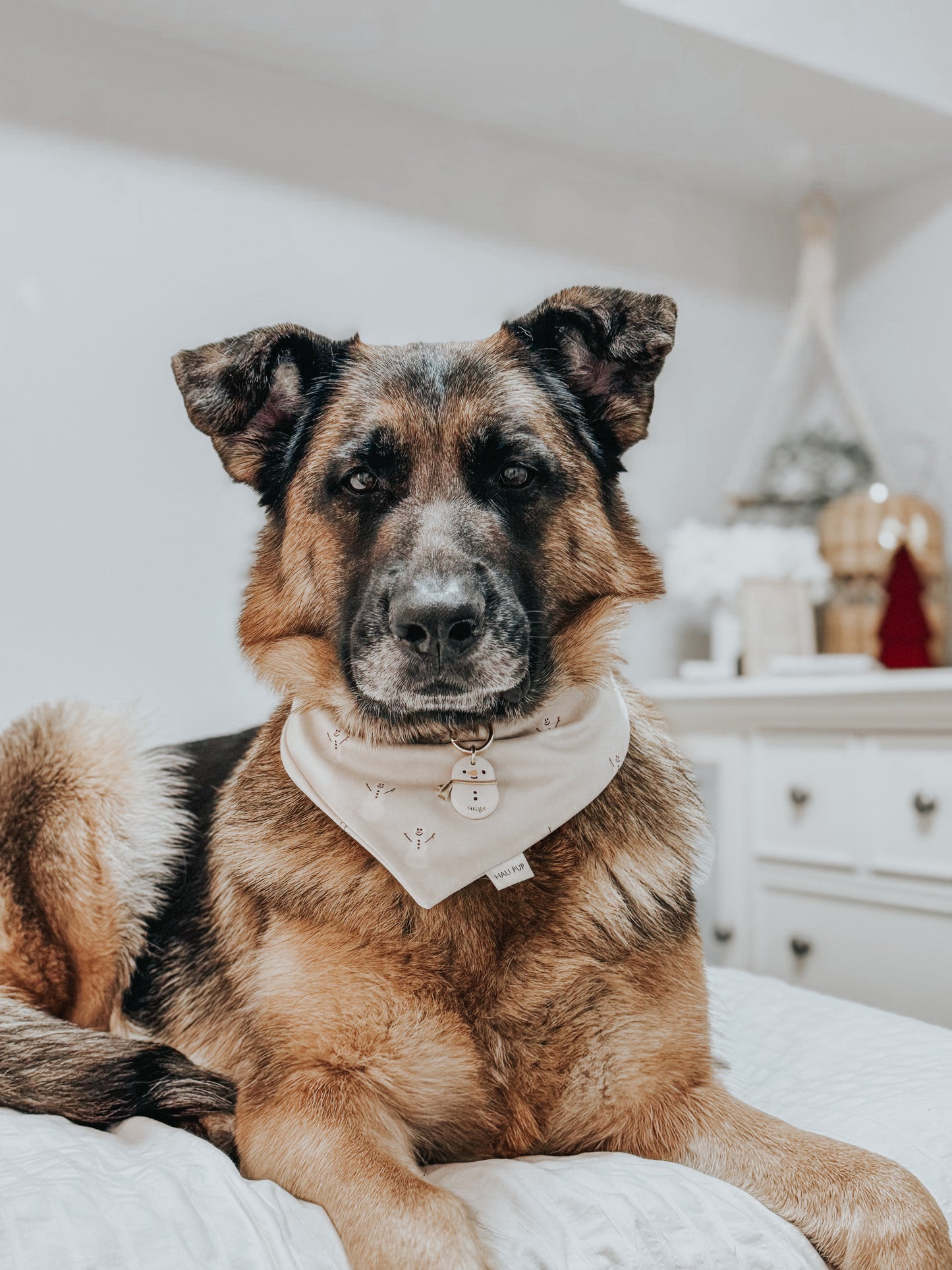 chubby snowman | pet id tag