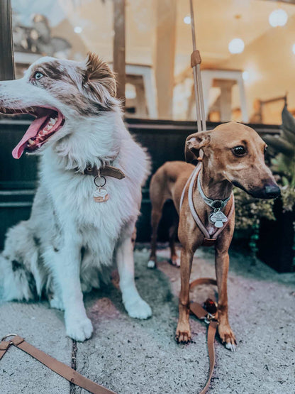 cinnamon bun | pet id tag