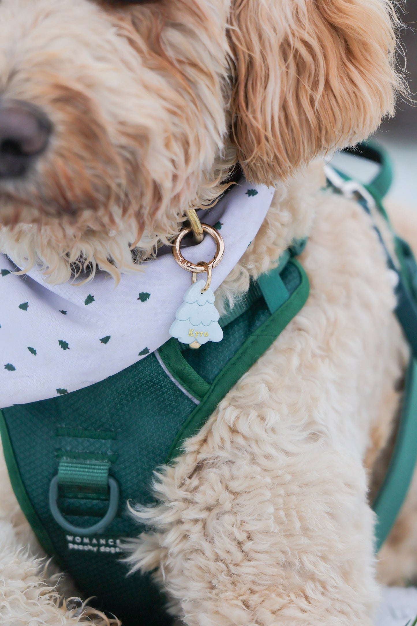 ombre snow tree | pet id tag