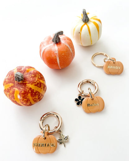 pumpkin | pet id tag