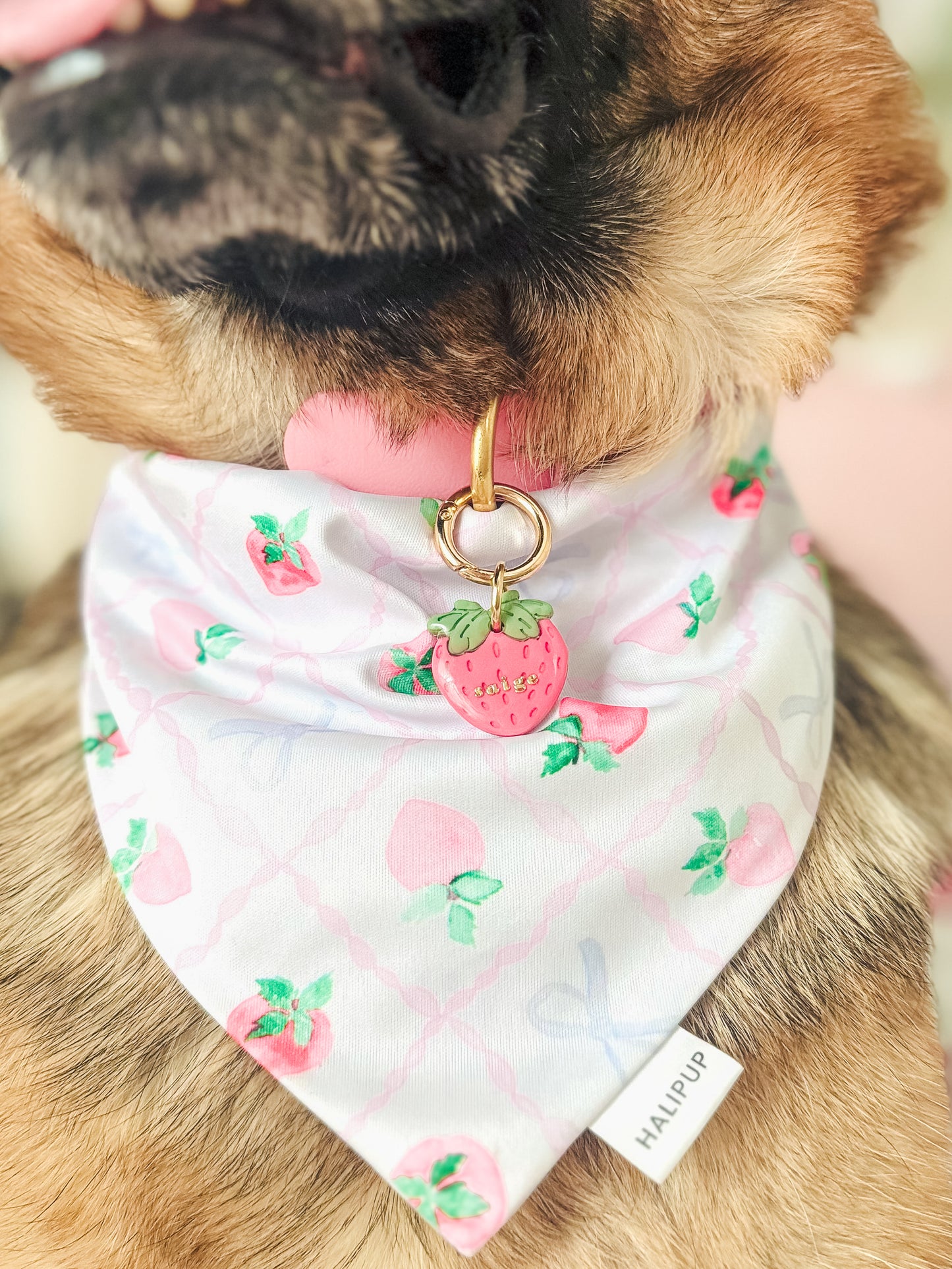 custom order | final product