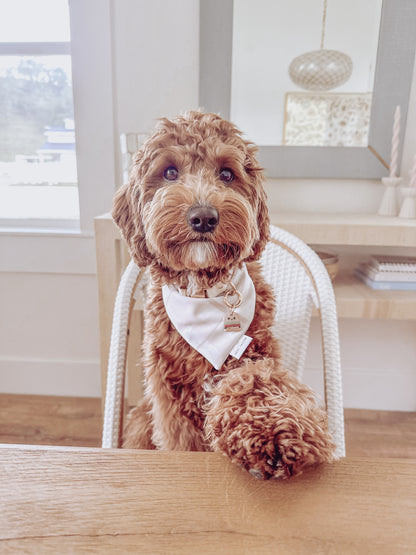 bff burger | pet id tag