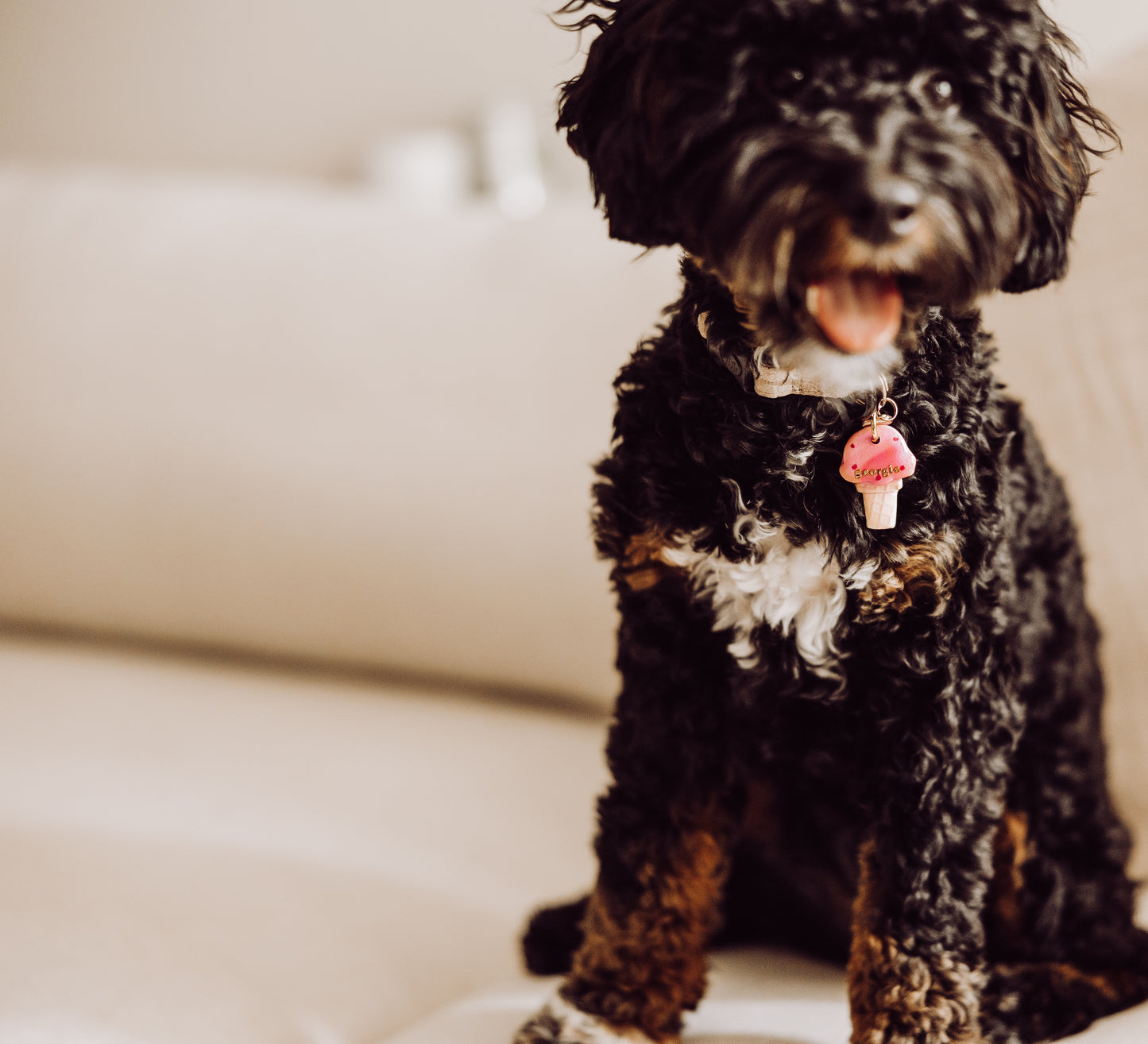 ice cream cone | pet id tag