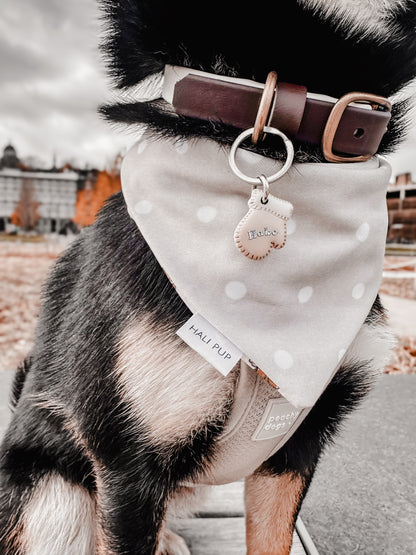 mitten | pet id tag