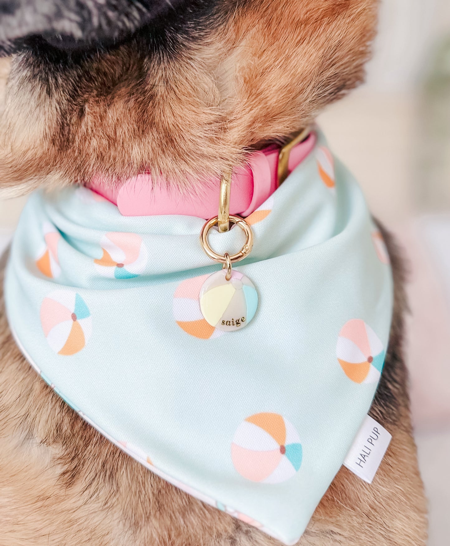 beach ball | pet id tag