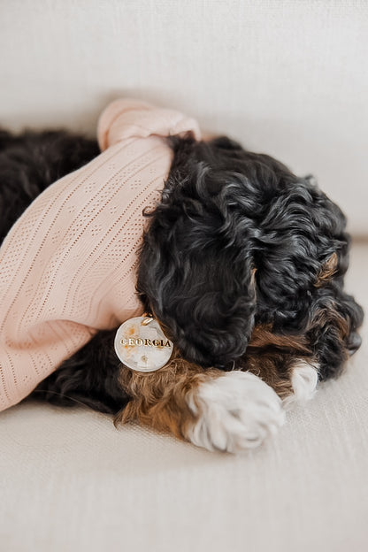 blossom | pet id tag