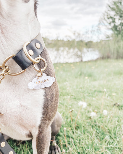 cloud | pet id tag