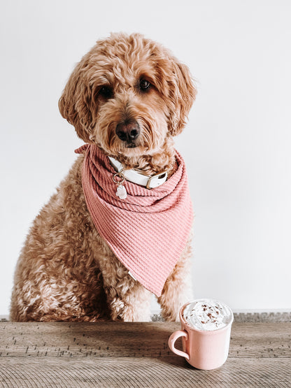 latte | pet id tag