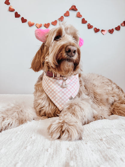 glazed donut | pet id tag