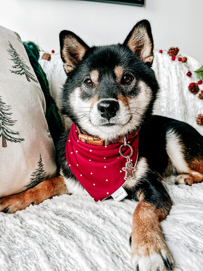 mr gingerbread | pet id tag