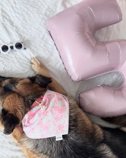 shell w/ pearl | pet id tag