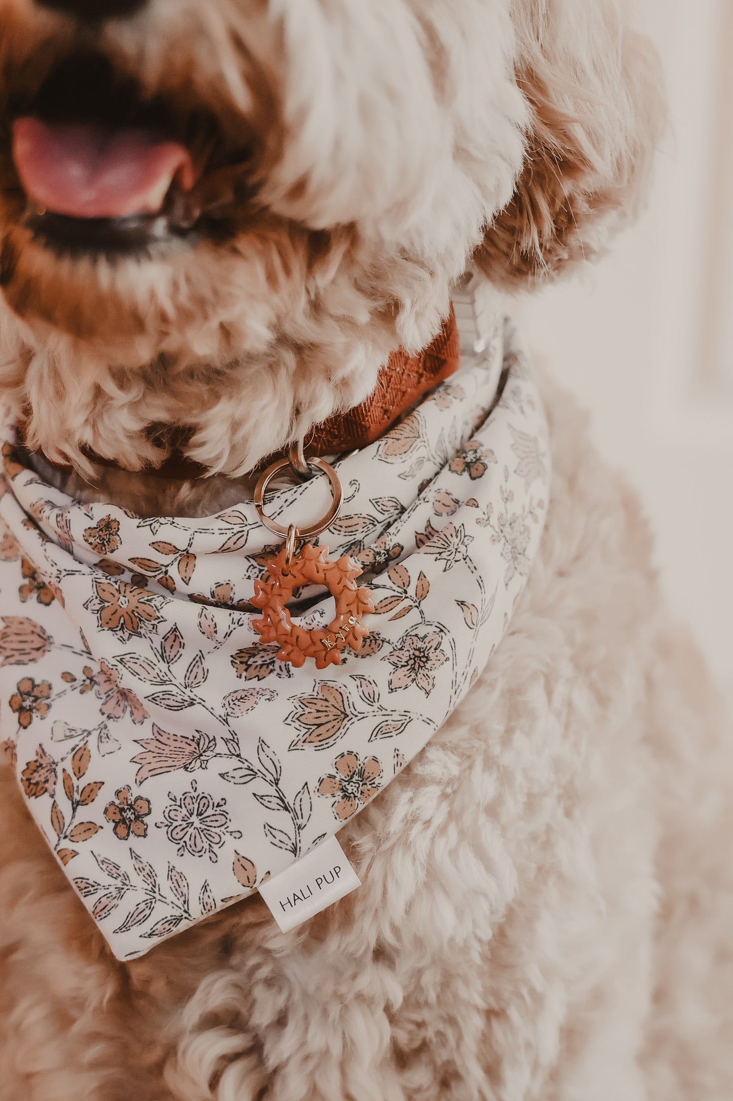 fall wreath | pet id tag