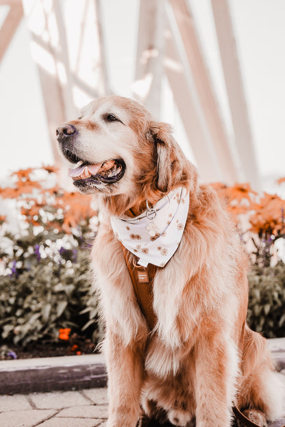 mushroom | pet id tag