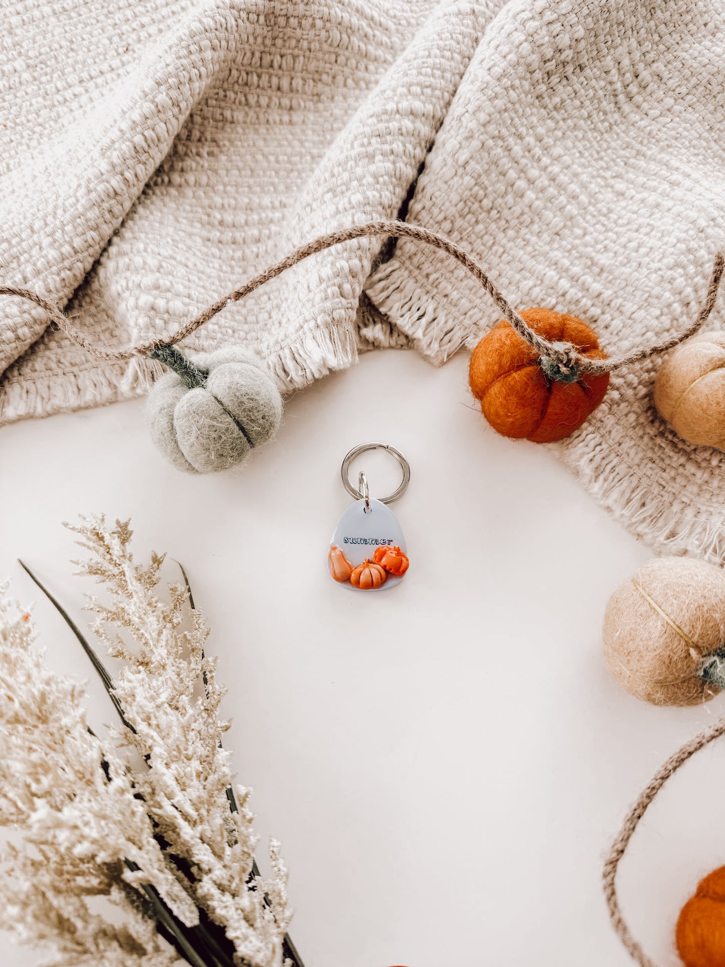 pumpkin patch | pet id tag