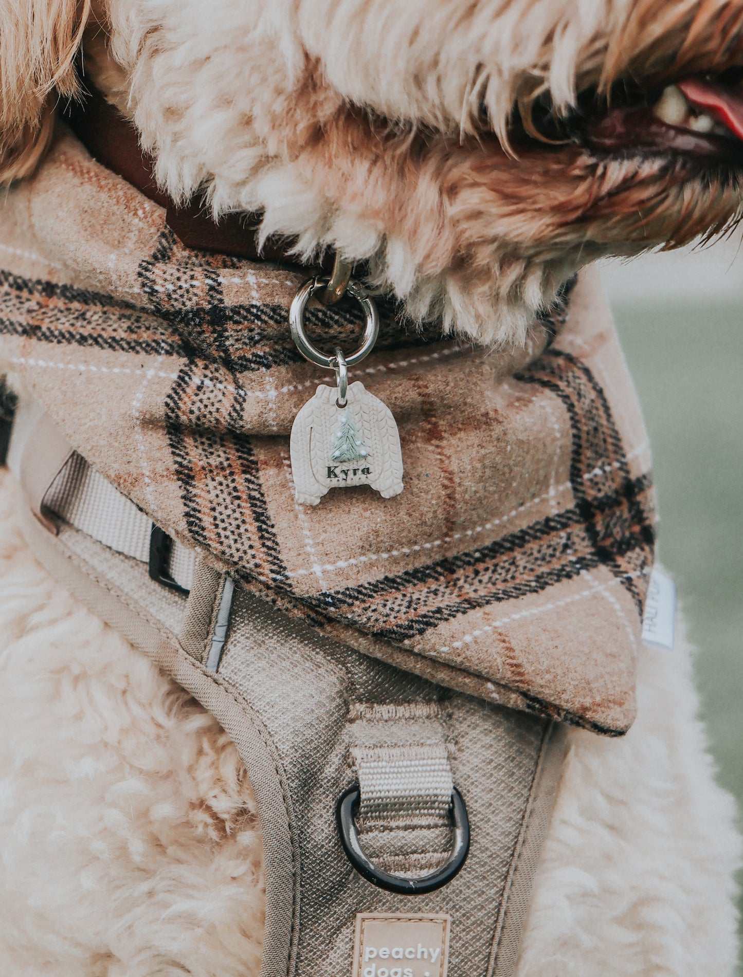 "ugly" xmas sweater | pet id tag
