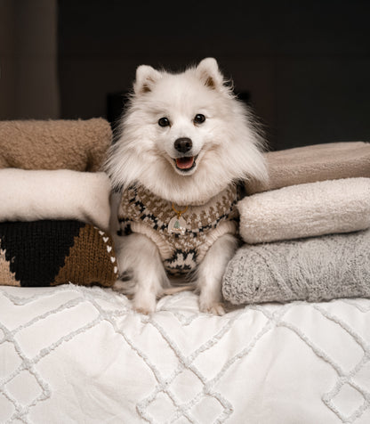 "ugly" xmas sweater | pet id tag