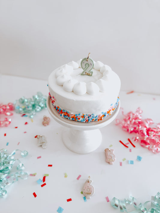 birthday candle | pet id tag