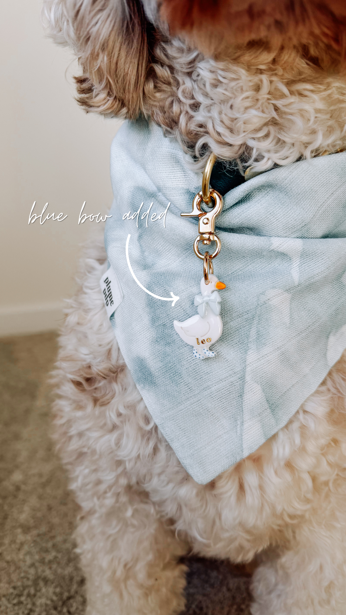 garden goose | pet id tag